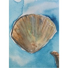 Seashells — Original Watercolor Painting by Marina Stognieva | Crimea | Picturesque Guide to Ukraine Seashells — Original Watercolor Painting by Marina Stognieva | Crimea | Picturesque Guide to Ukraine